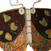 butterfly book
